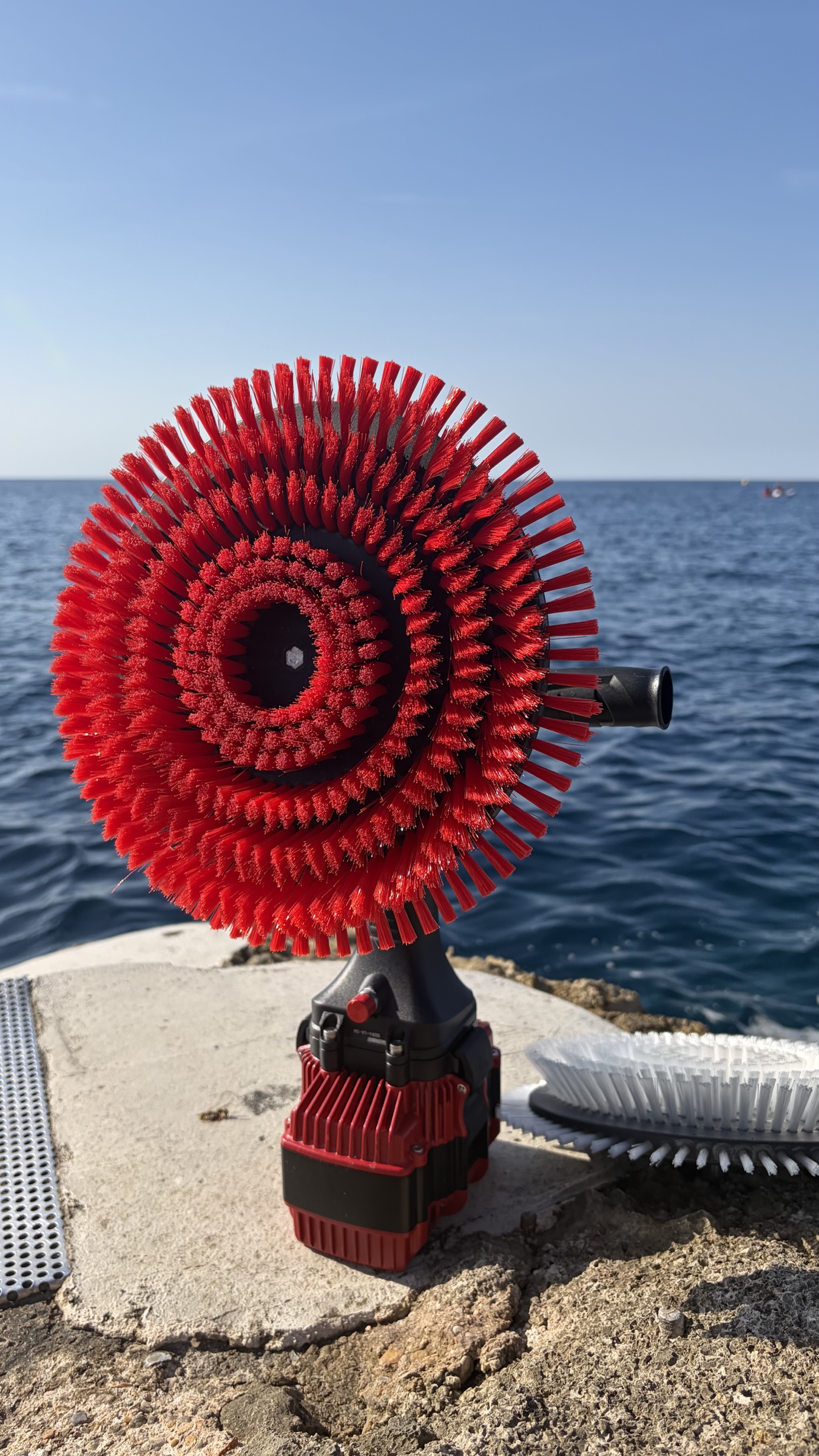 Nemo Hull Cleaner avec sa brosse rouge au bord de la mer